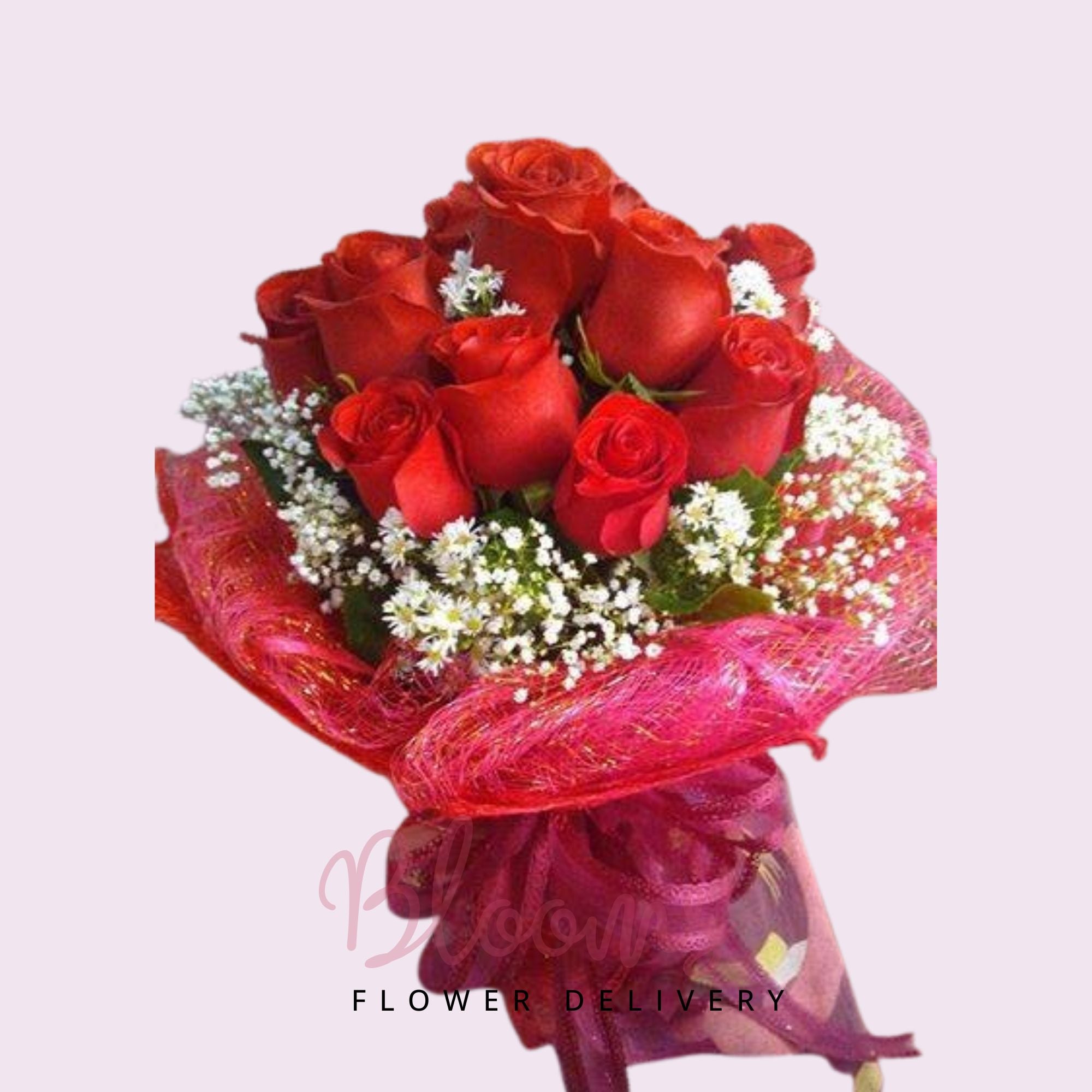 1 Dozen Red Roses